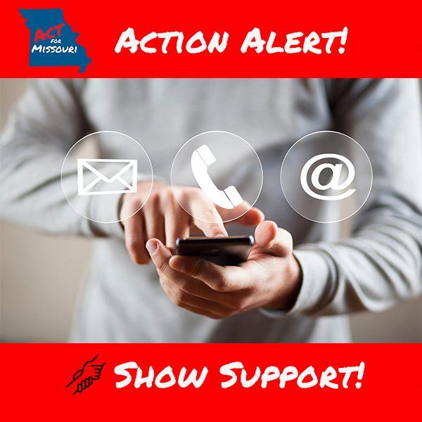 Currently, Committees aren't required to publicly post substitute bills when first presented to a committee. Holly Jones is working for Legislative Transparency.