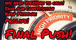 Final Push for IP Reform